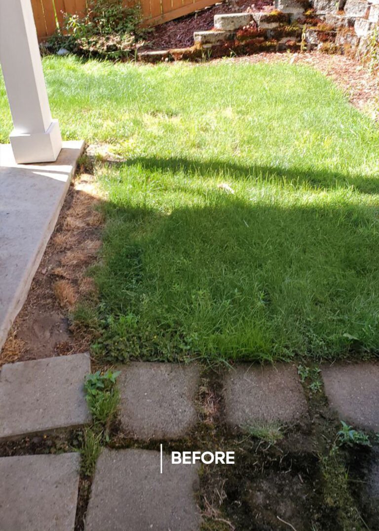 A Backyard Transformed: Synthetic Turf Meets Elegant Pavers