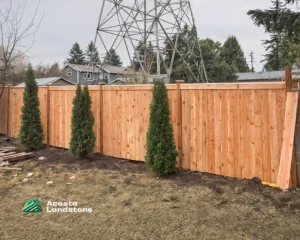 Project Landscaping in Seattle.