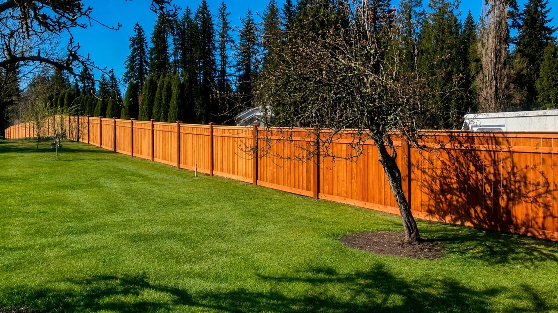 Privacy Fence Renovation in Bothell, WA by Acosta Landstone