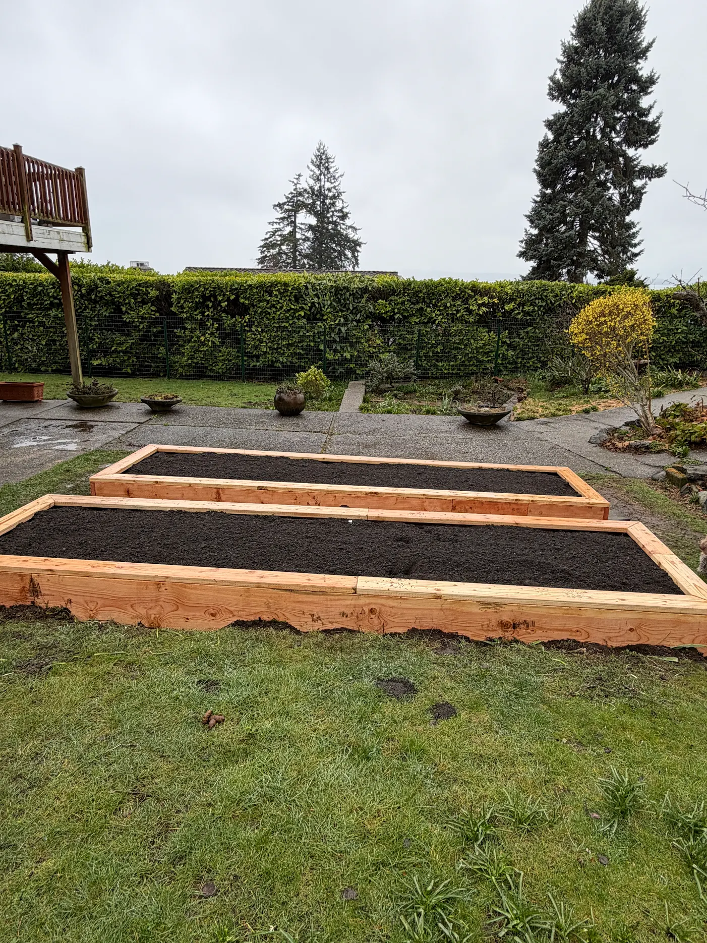 Raised beds project photo two