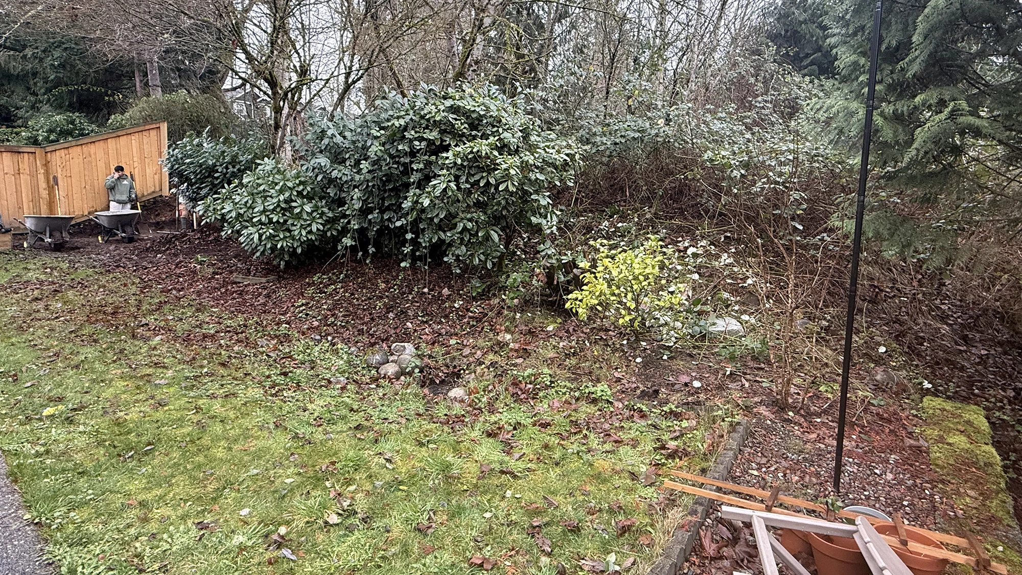 Overgrown sloped backyard edge before the fence and retaining wall project in Sammamish, WA