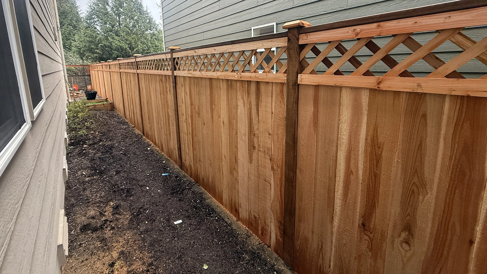 Cedar privacy fence with lattice top along a backyard in Sammamish, WA