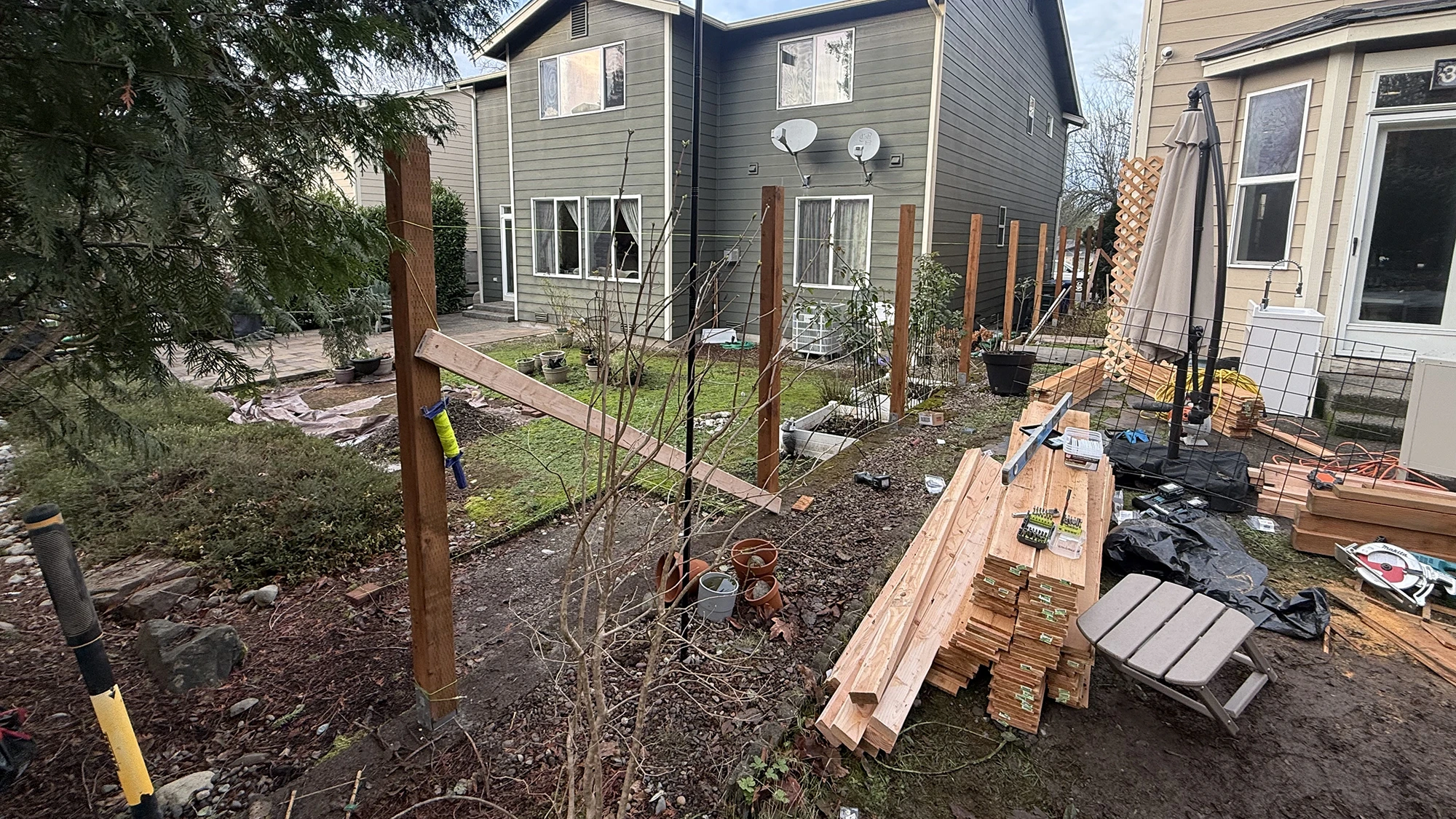 New cedar fence posts set to a string line in a Sammamish backyard