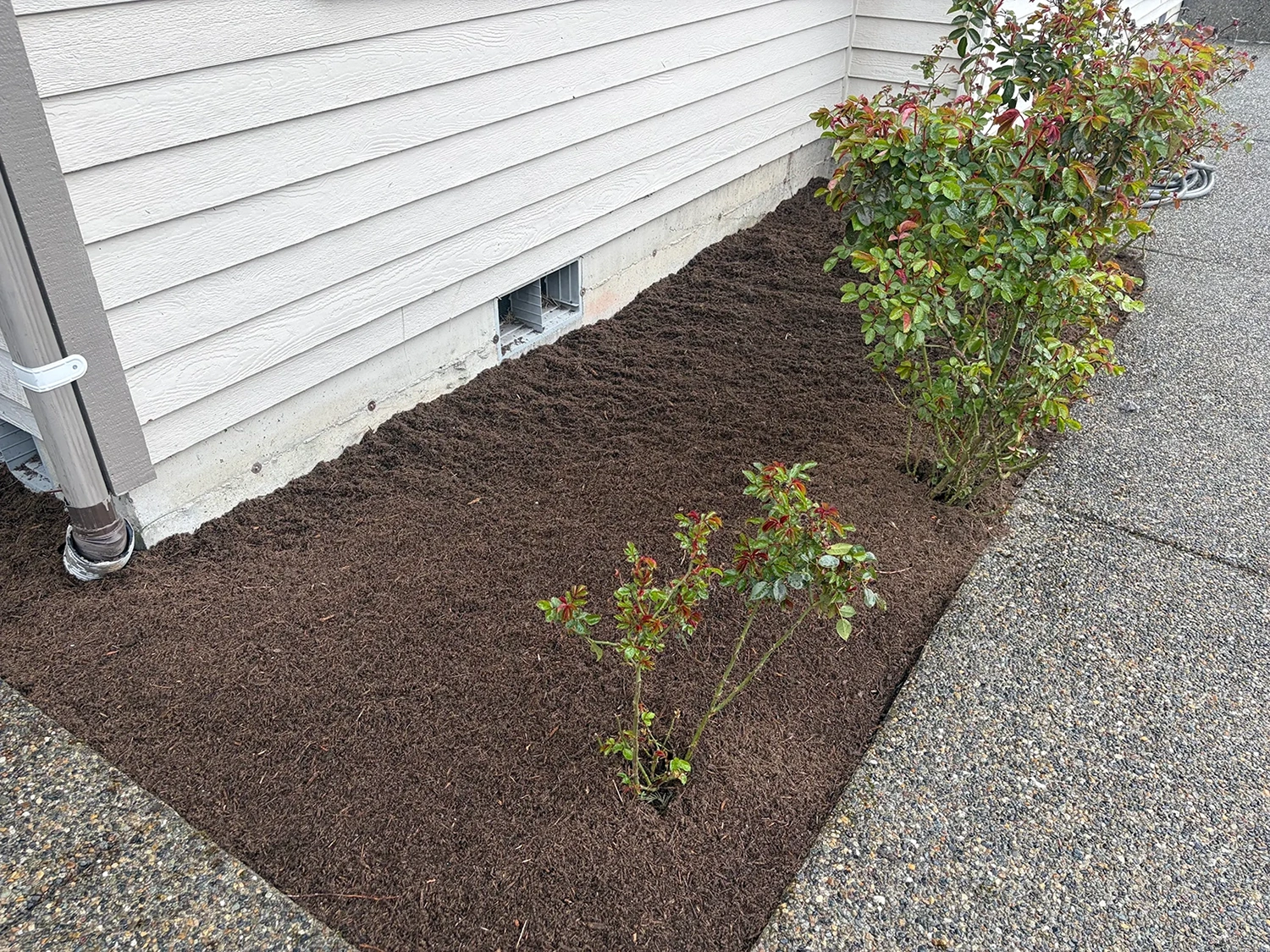 Mulch installation detail