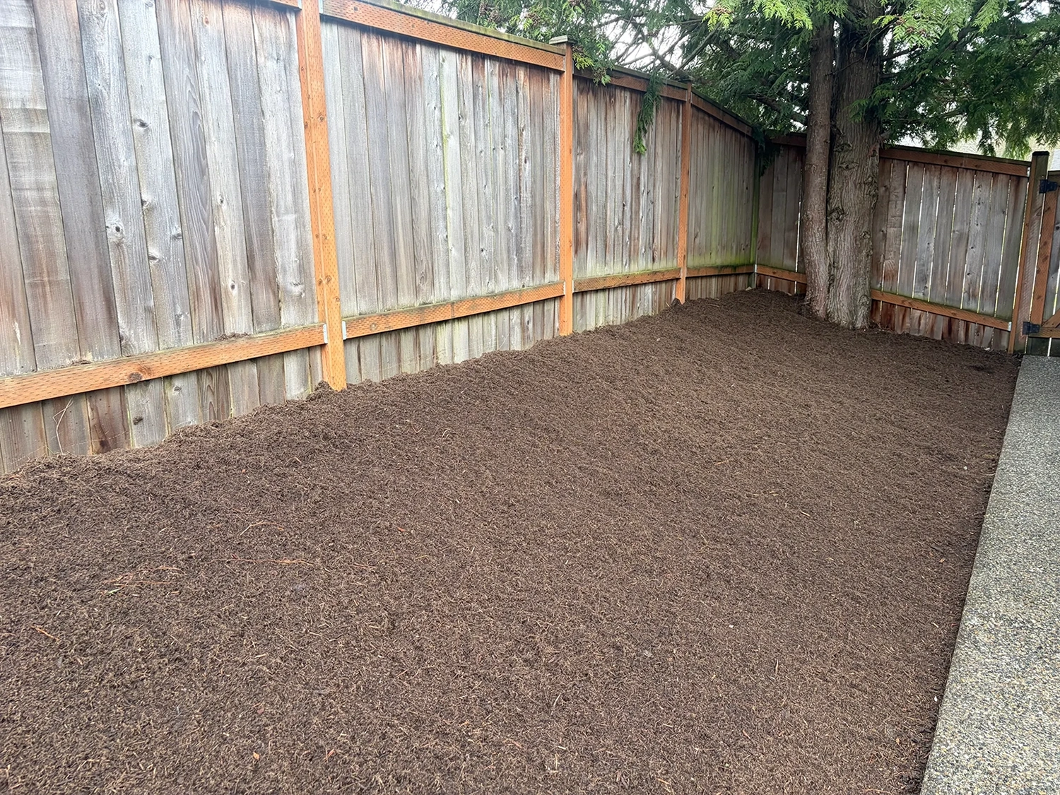 Yard cleanup and mulch