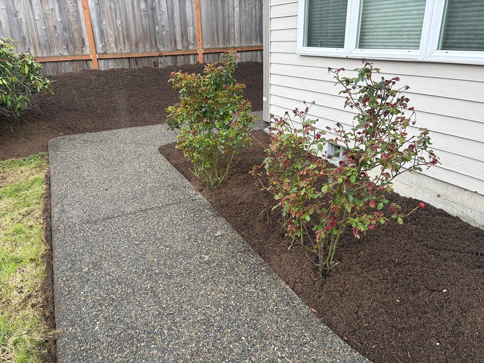 Clean mulch installation around walkway