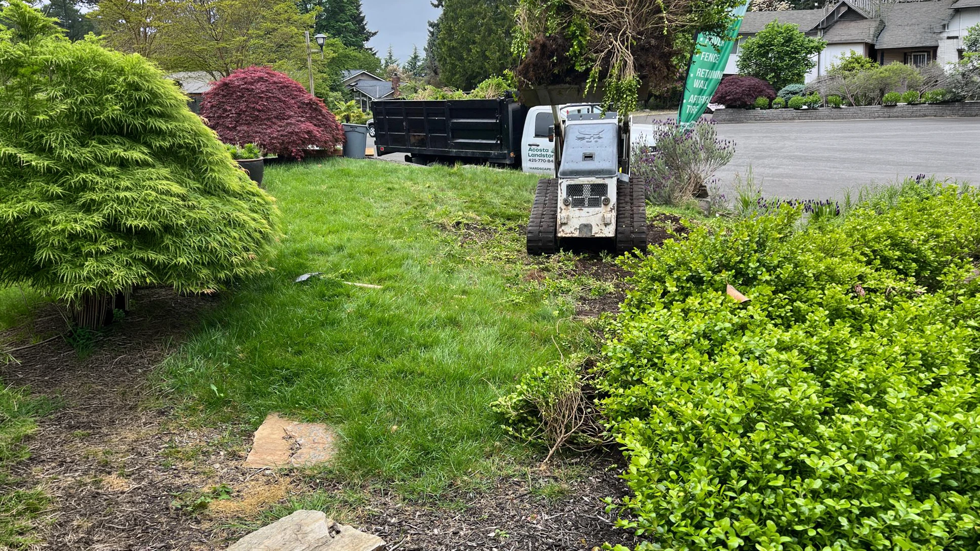 Compact track loader arriving to remove the old front lawn in Kirkland, WA