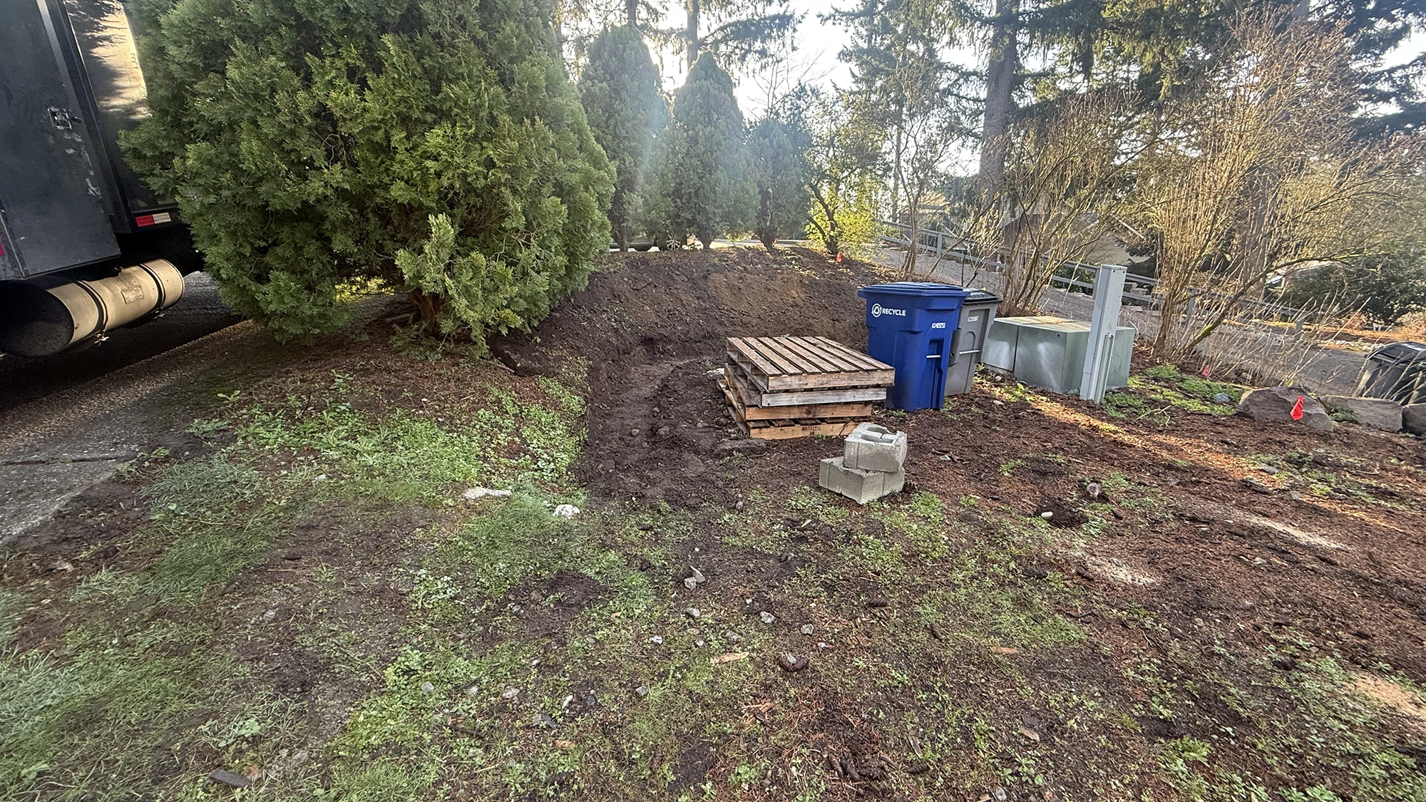 Overgrown yard edge before the full exterior hardscape project in Bothell, WA