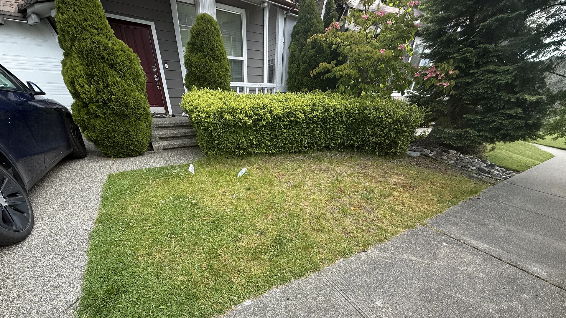 Patchy front lawn before the landscaping and hardscape project in Mill Creek, WA