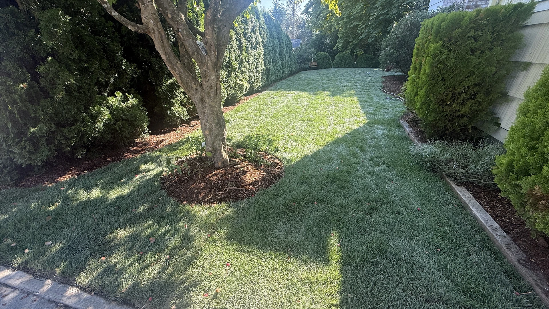 New Lawn Installation in Lake Stevens, WA by Acosta Landstone, photo 5