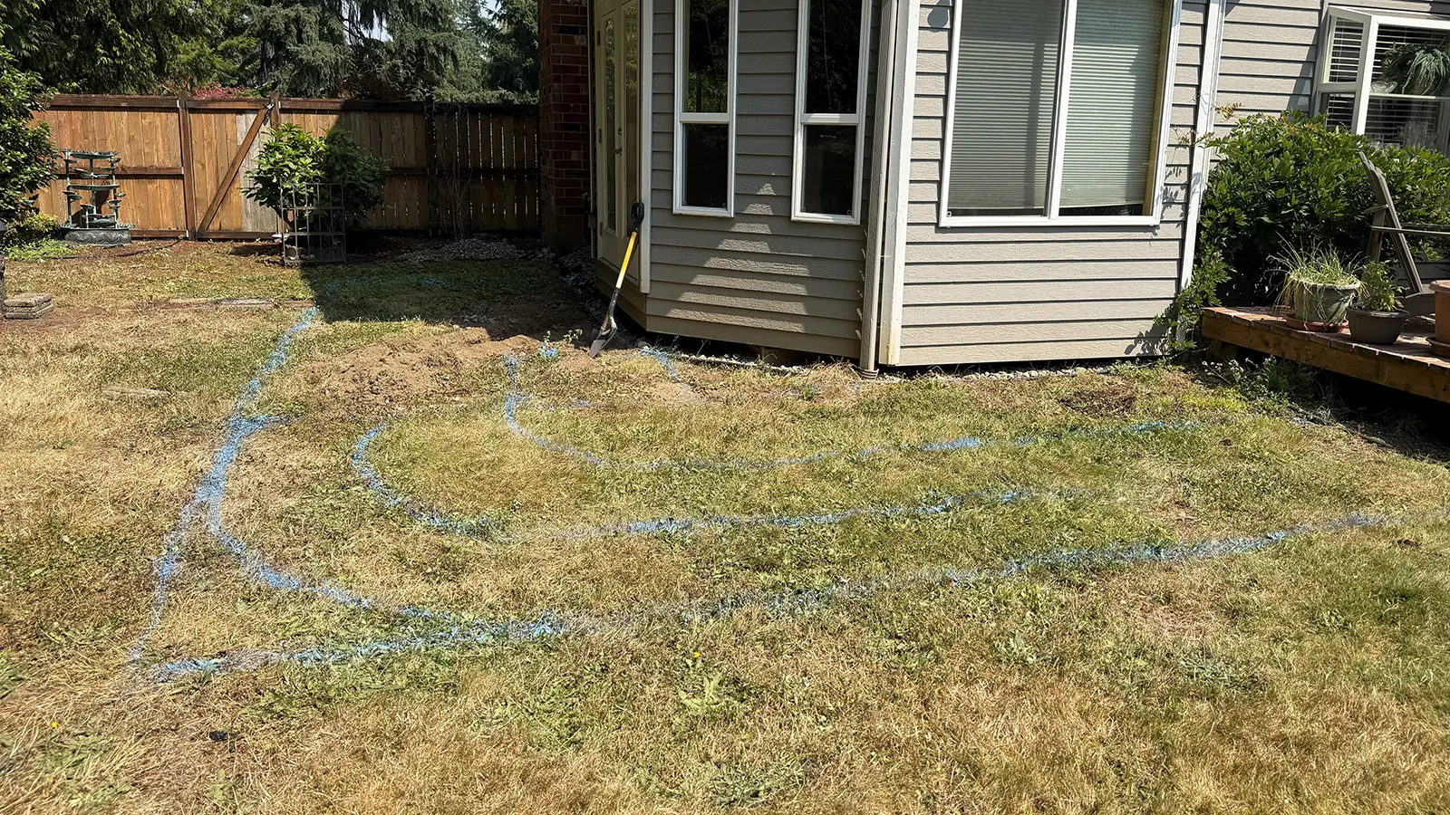 Curved paver patio layout marked with paint in a Duvall, WA backyard