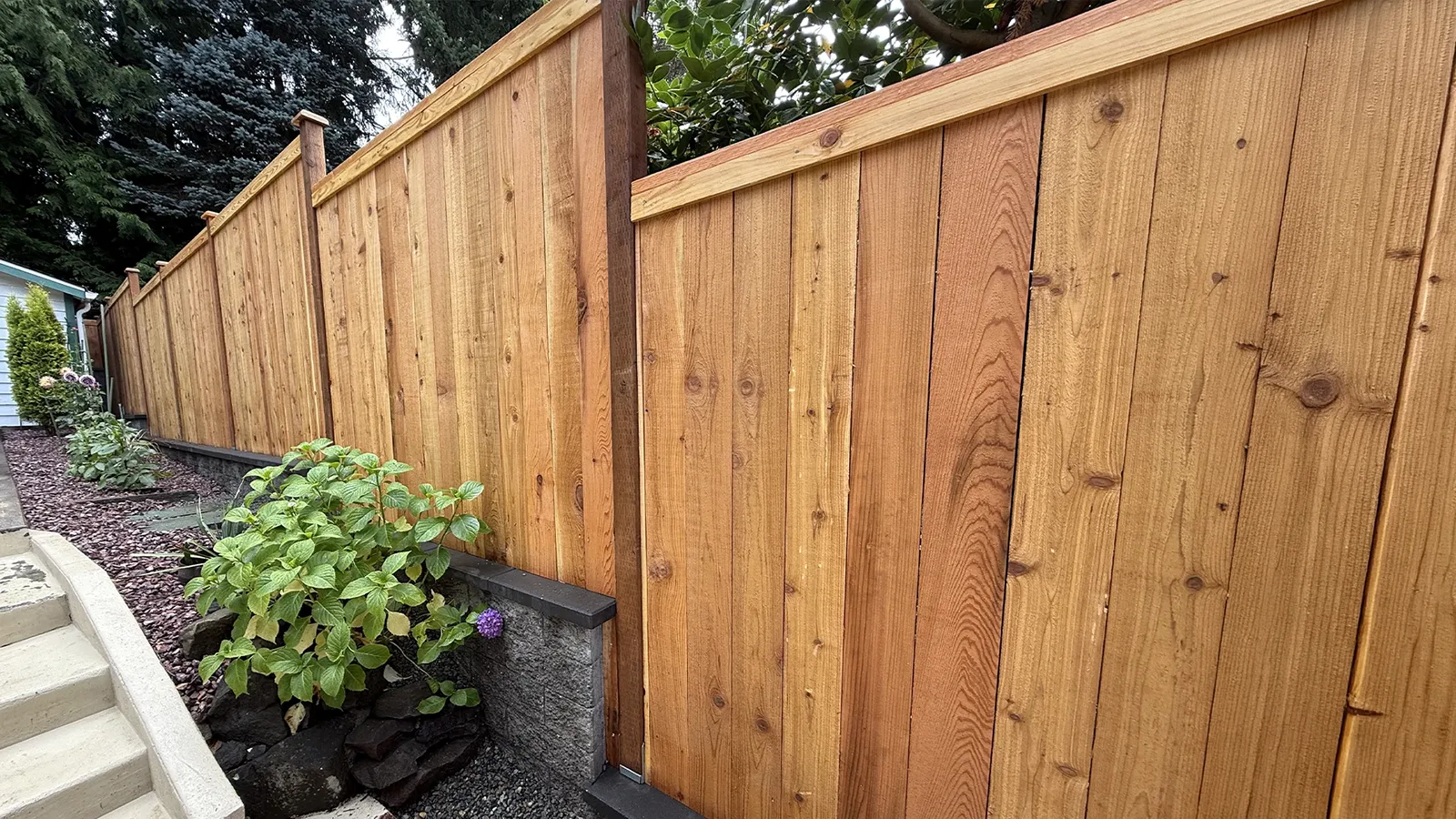 Close-up of cedar privacy fence boards, top cap and post caps in Matthews Beach, Seattle