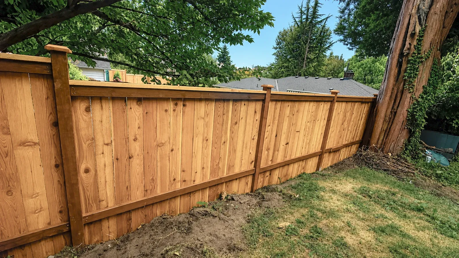 Cedar wood fence along a backyard in Matthews Beach, Seattle