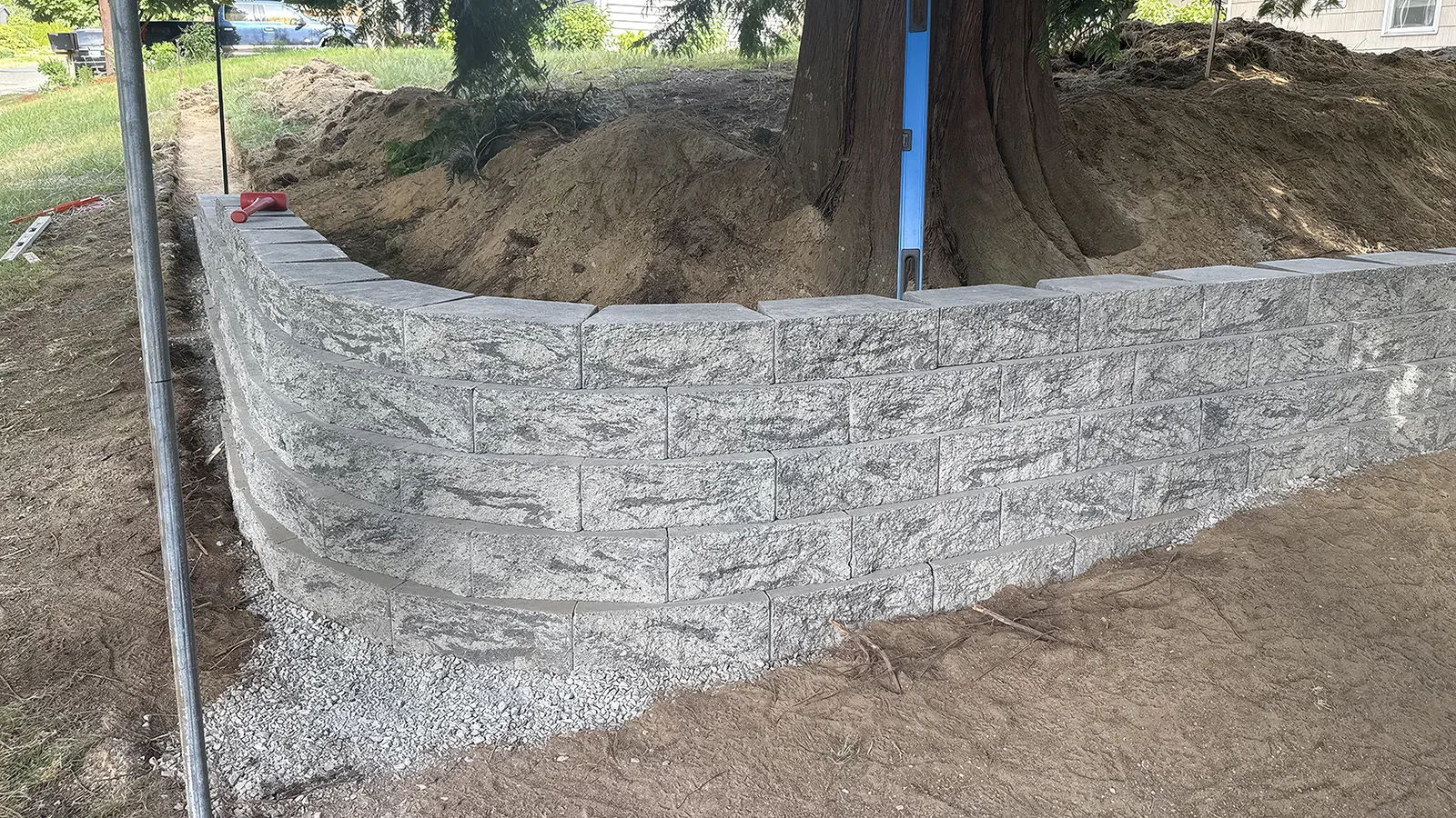 Curved corner of a concrete block retaining wall around a mature cedar in Seattle