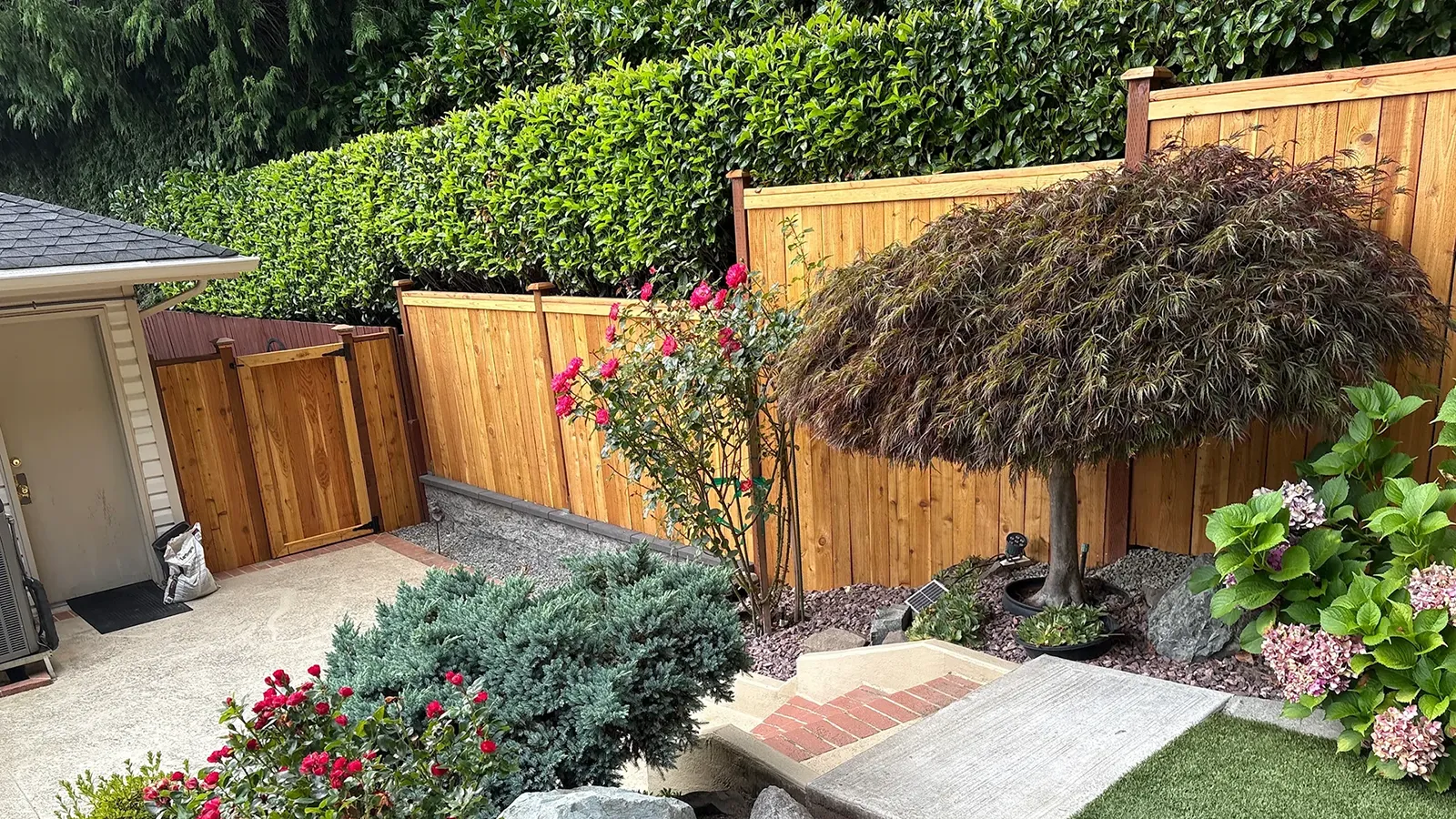 Custom wood fence around a garden in Matthews Beach, Seattle