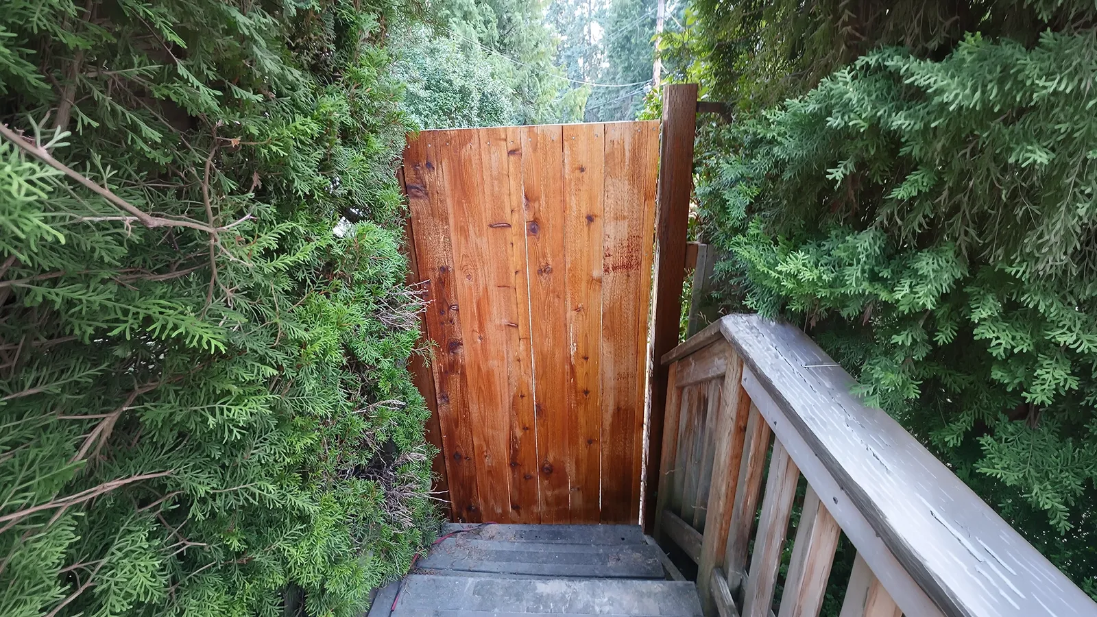 Custom wood gate installation in Matthews Beach, Seattle, WA