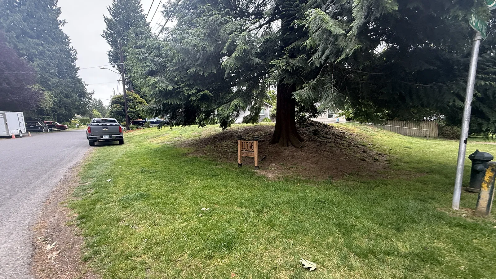 Front yard slope around a large cedar tree before the retaining wall installation in Seattle