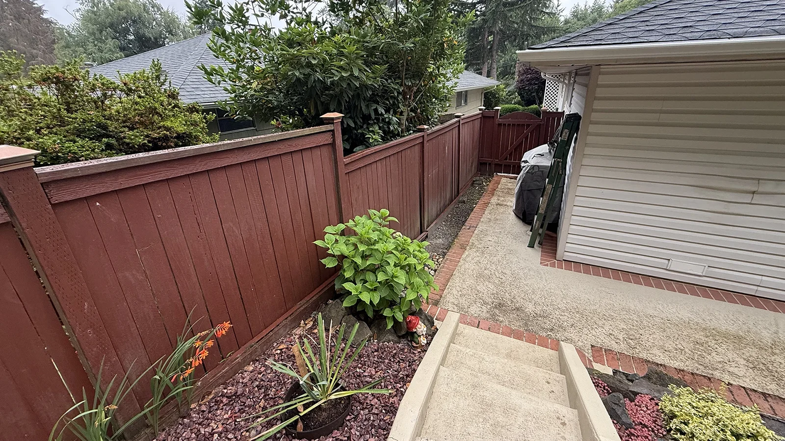 Backyard before the new wood fence installation in Matthews Beach, Seattle, WA